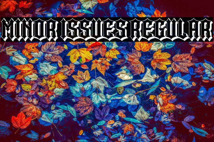 Minor Issues Regular Example 2