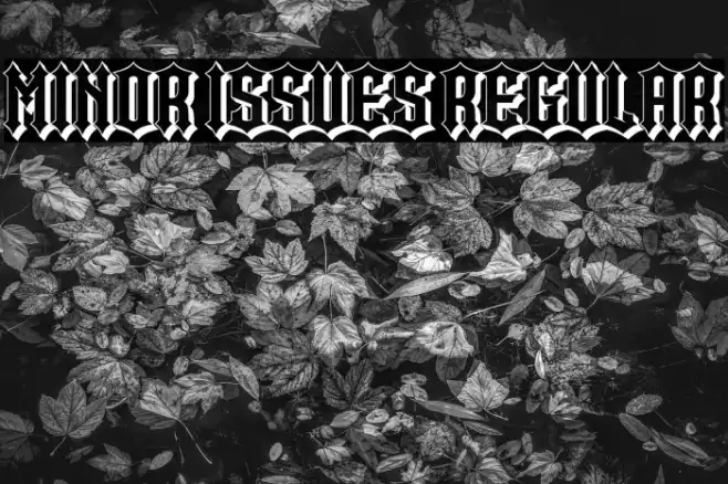 Minor Issues Regular Example 2