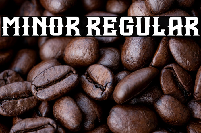 Minor Regular Example 1