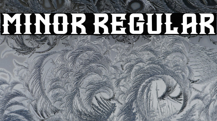 Minor Regular Example 2