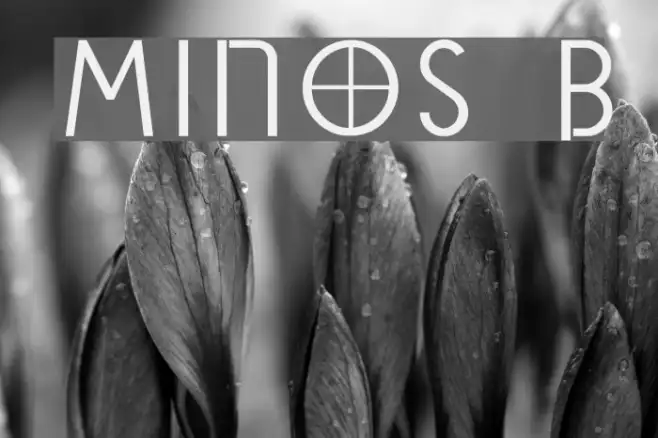 Minos B Example 1