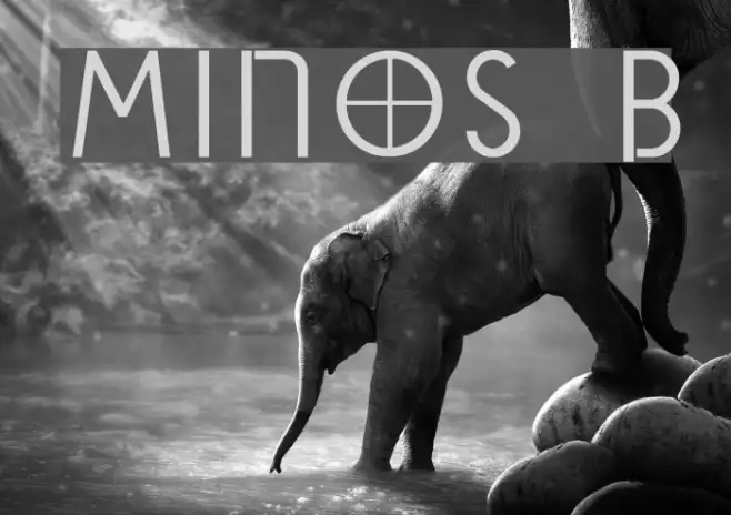 Minos B Example 2