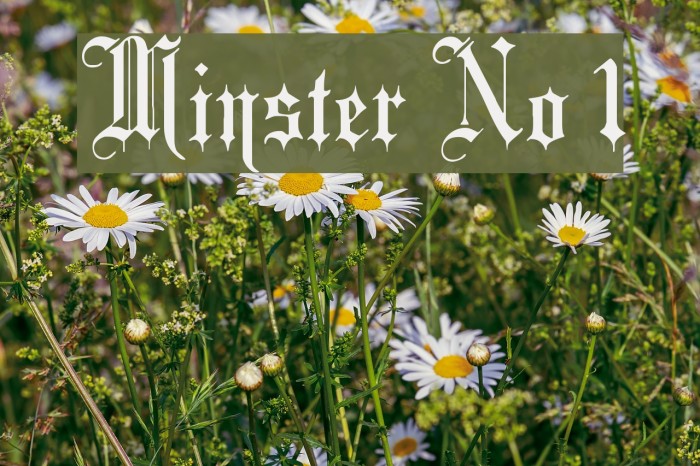 Minster No 1 Fuentes examples