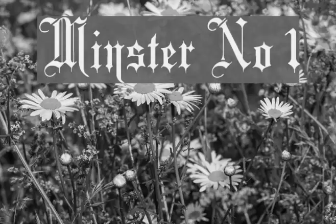 Minster No 1 Font examples