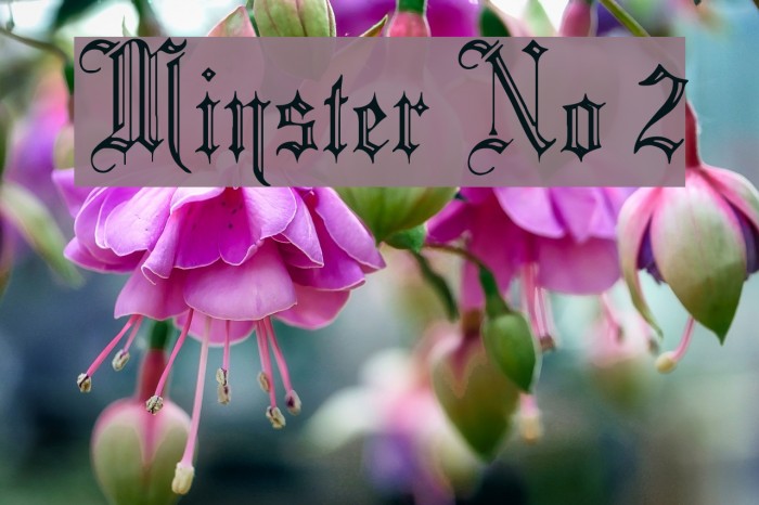 Minster No 2 Font examples