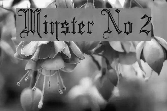 Minster No 2 Example 1