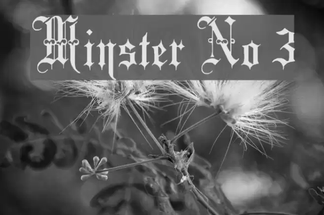 Minster No 3 Font examples