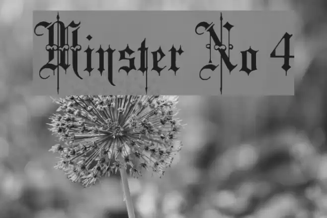 Minster No 4 Caratteri examples