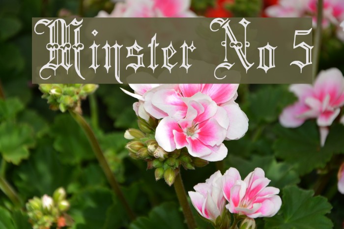 Minster No 5 Font examples