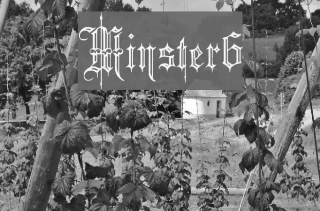 Minster6 Font examples