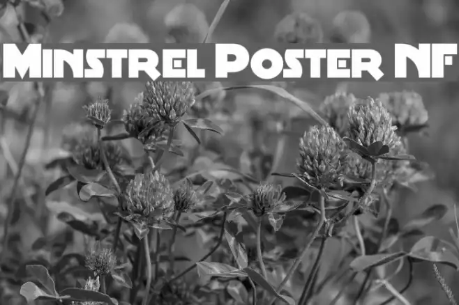 Minstrel Poster NF Example 1