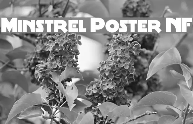 Minstrel Poster NF Example 3