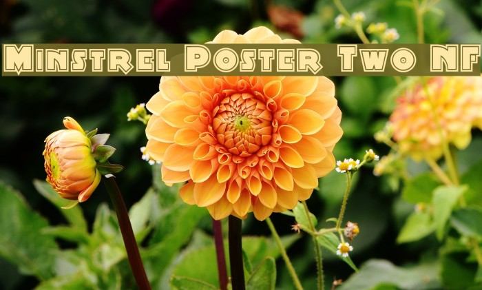 Minstrel Poster Two NF Font examples