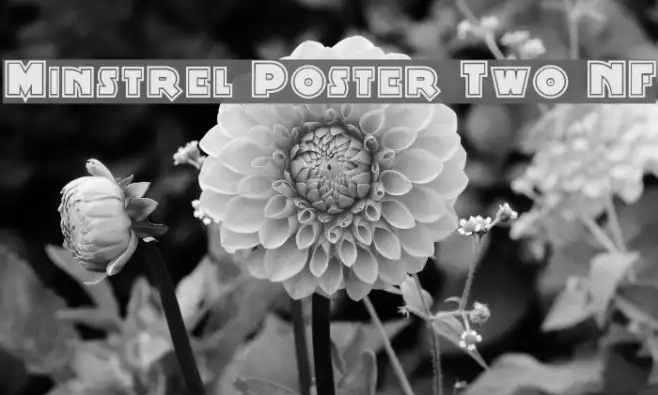 Minstrel Poster Two NF Example 2