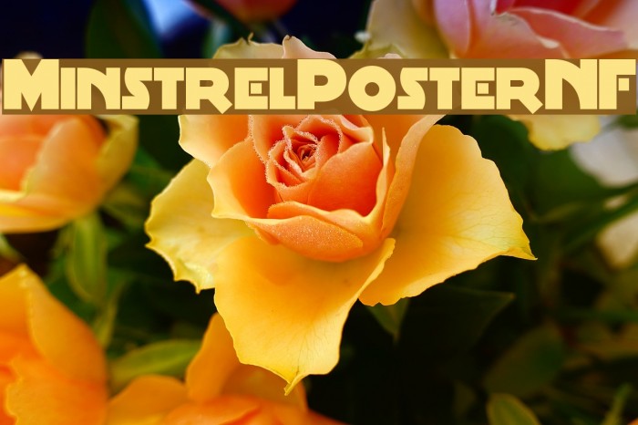 MinstrelPosterNF Font examples