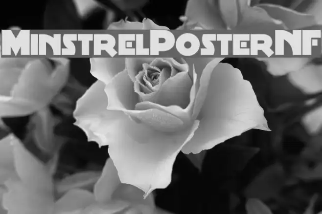 MinstrelPosterNF Example 1