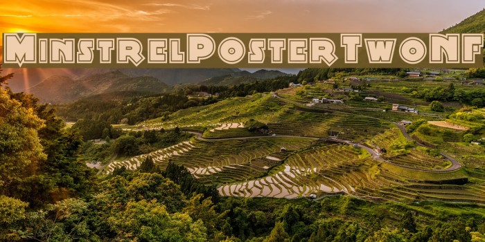 MinstrelPosterTwoNF Example 1