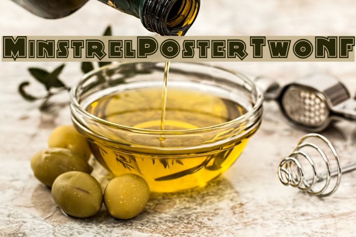 MinstrelPosterTwoNF Example 2