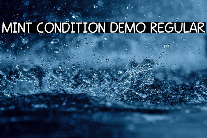 Mint Condition DEMO Regular Example 1