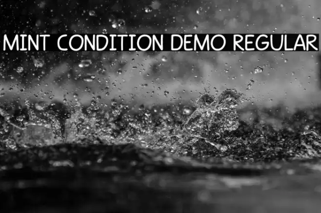 Mint Condition DEMO Regular Example 1