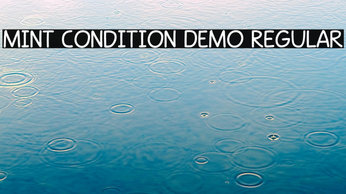 Mint Condition DEMO Regular Example 2