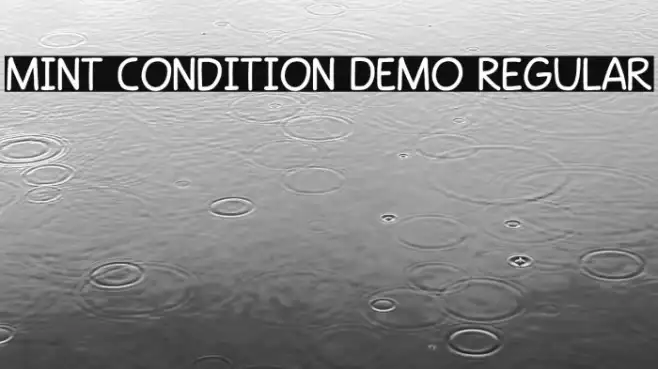 Mint Condition DEMO Regular Example 2