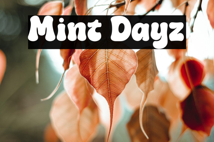 Mint Dayz Example 1