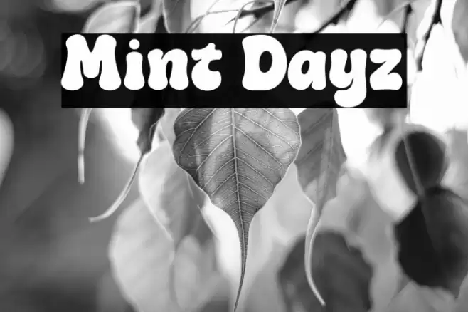 Mint Dayz Fuentes examples