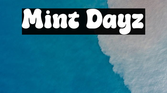 Mint Dayz Example 2