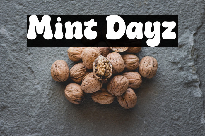 Mint Dayz Example 3