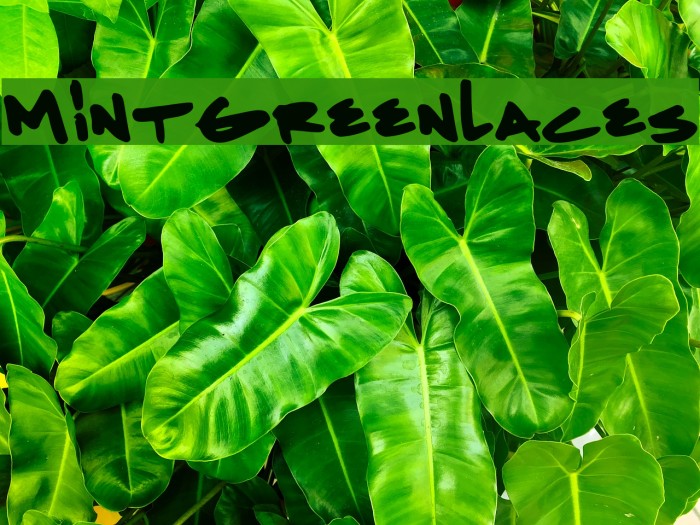 MintGreenlaces Font examples