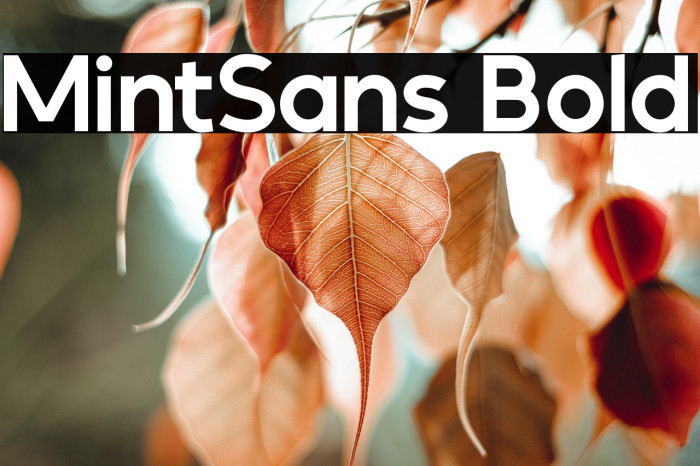 MintSans Bold Example 2