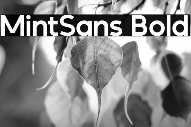 MintSans Bold Example 2