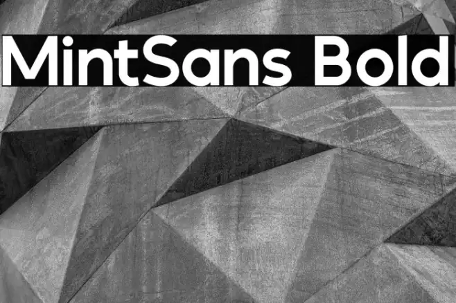 MintSans Bold Example 3