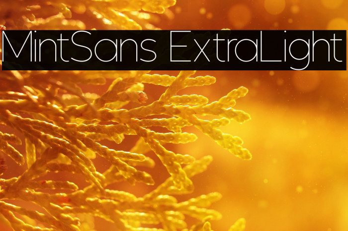MintSans ExtraLight Example 2