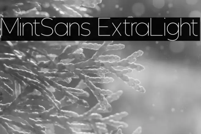 MintSans ExtraLight Font examples