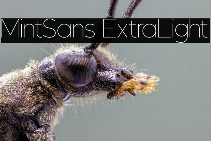 MintSans ExtraLight Example 3
