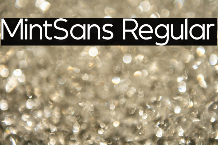 MintSans Regular Example 1