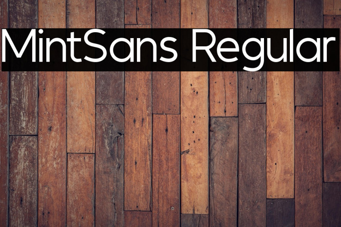 MintSans Regular Example 2