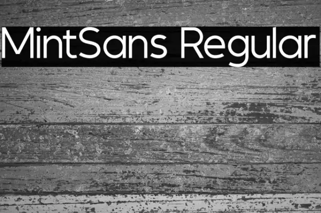 MintSans Regular Example 3