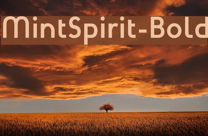 MintSpirit-Bold لخطوط تنزيل examples