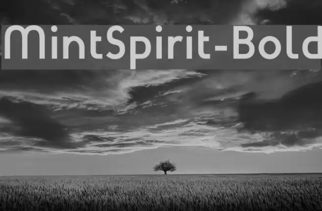MintSpirit-Bold Font examples
