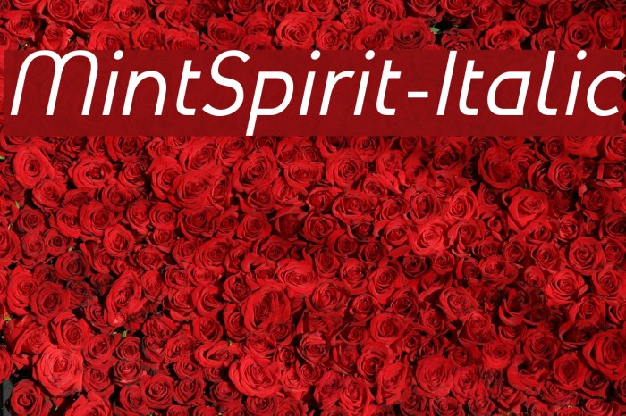 MintSpirit-Italic لخطوط تنزيل examples
