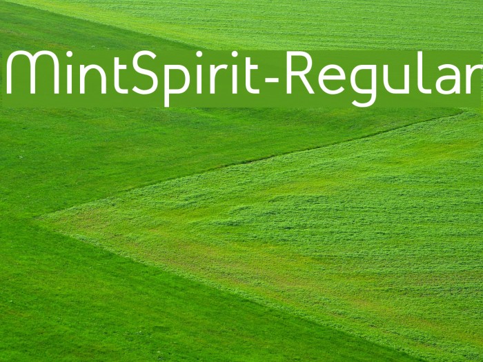 MintSpirit-Regular لخطوط تنزيل examples