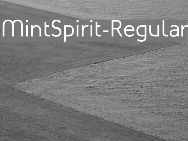 MintSpirit-Regular Font examples