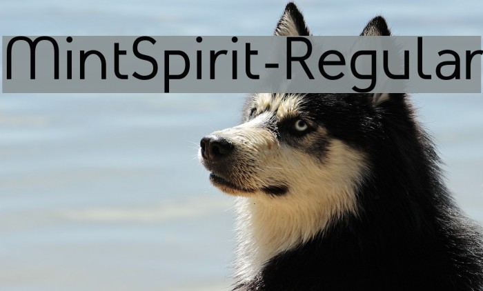 MintSpirit-Regular لخطوط تنزيل examples