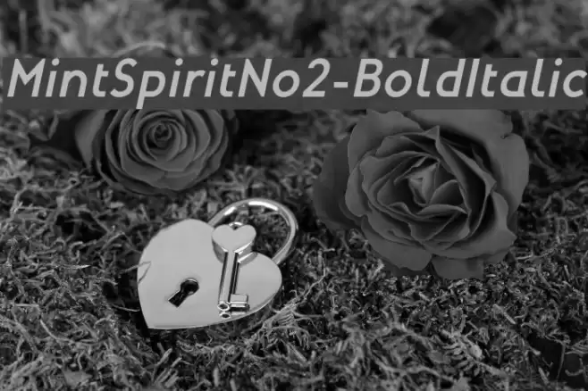 MintSpiritNo2-BoldItalic Font examples