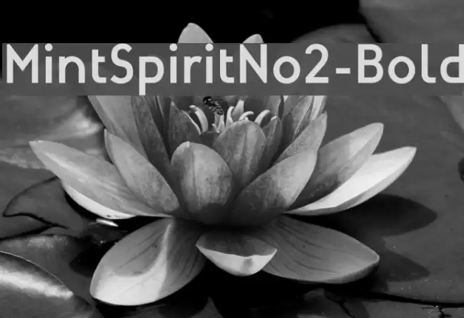 MintSpiritNo2-Bold Font examples