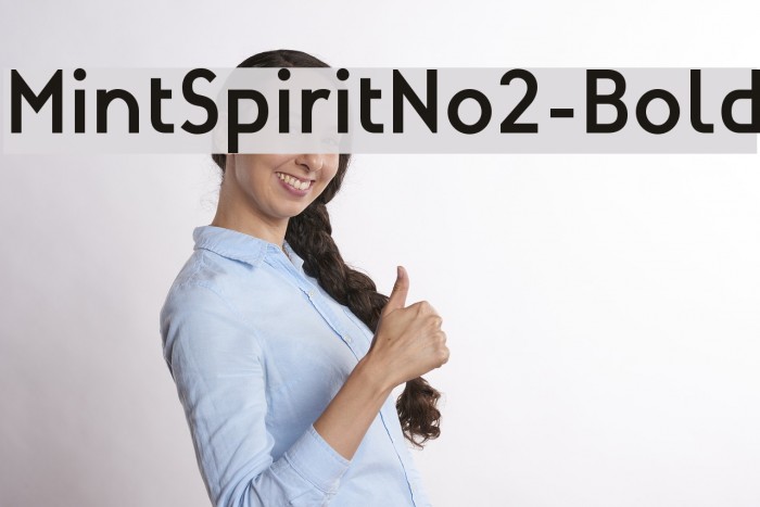 MintSpiritNo2-Bold Font examples