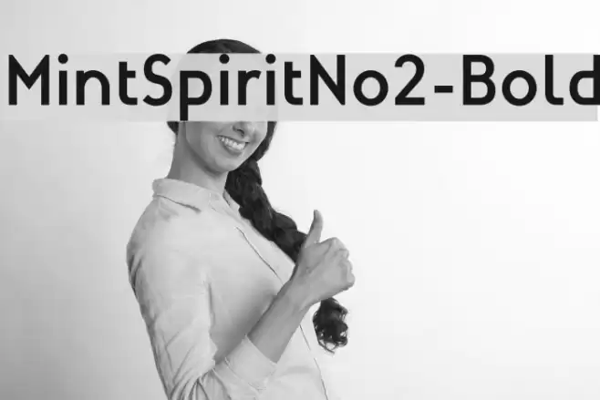 MintSpiritNo2-Bold Font examples